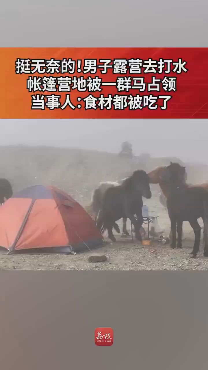 挺無奈的！男子露營去打水 帳篷營地被一群馬占領