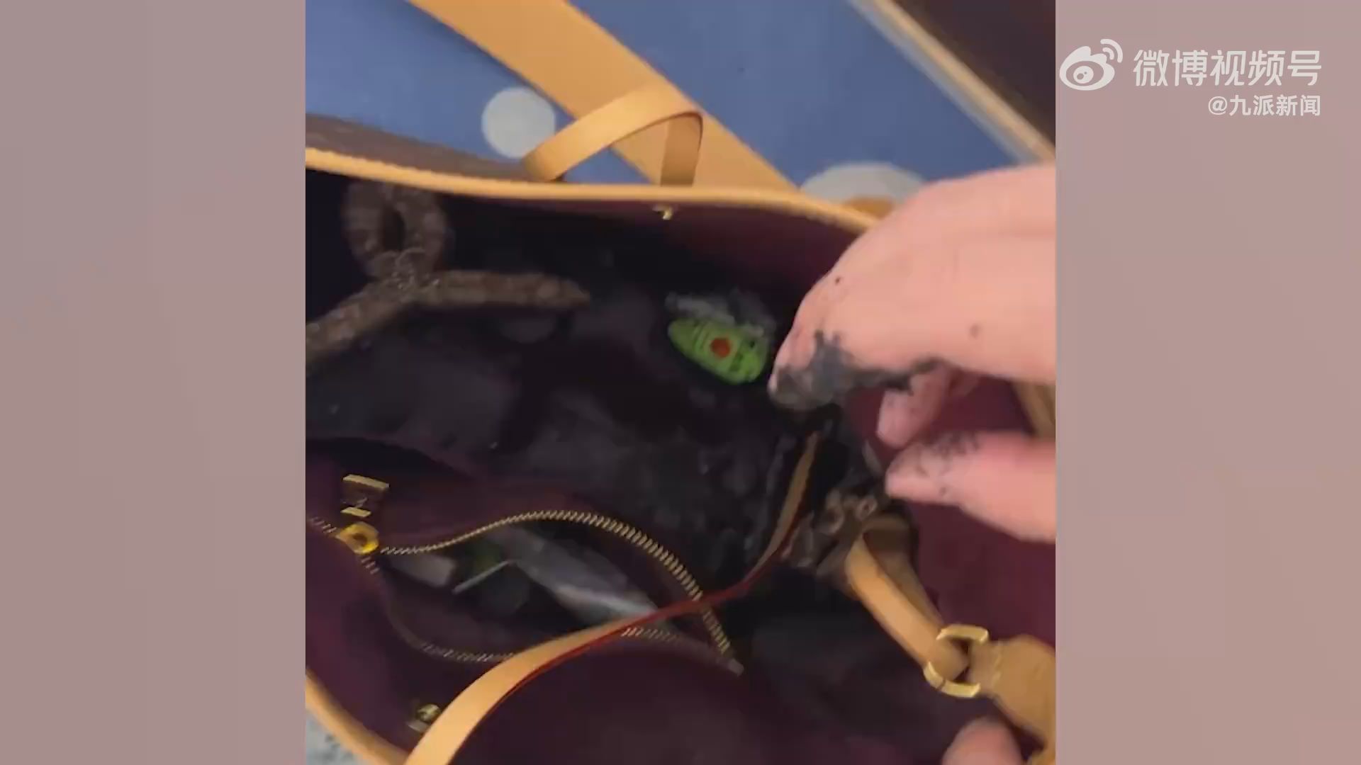 女子網購充電寶自燃LV包被燒毀
