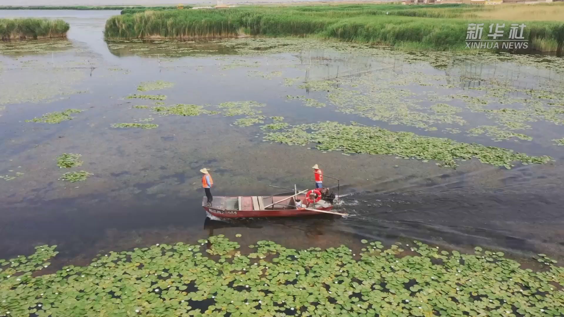中國最大內陸淡水湖螃蟹“搶鮮”上市