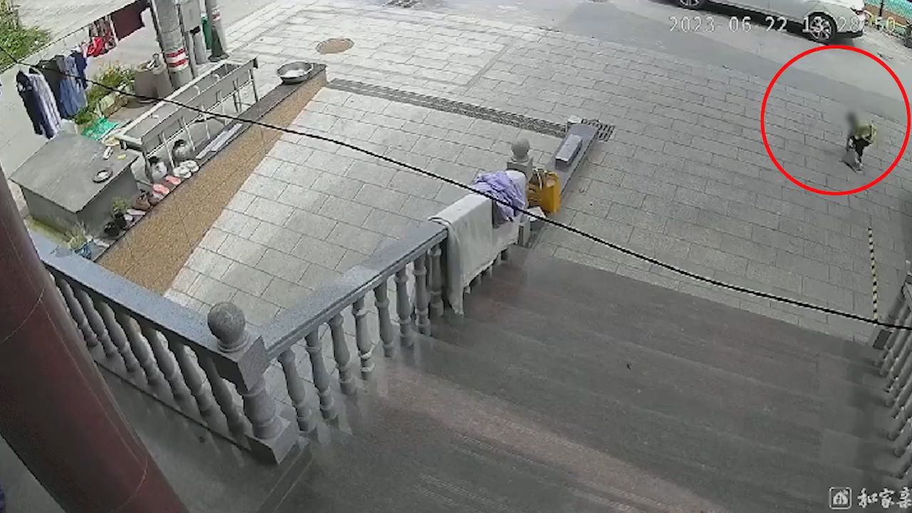 小男孩數次摔打后甩飛小貓