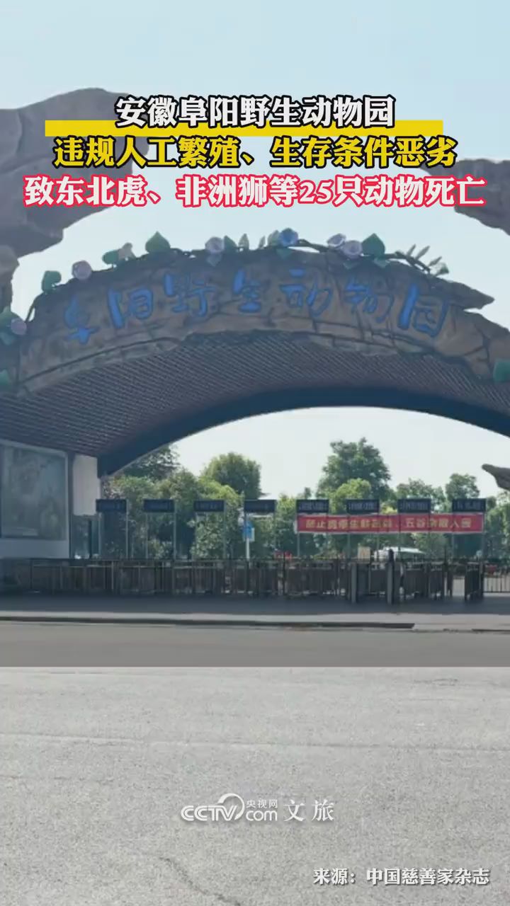 安徽阜阳野生动物园20只东北虎死亡