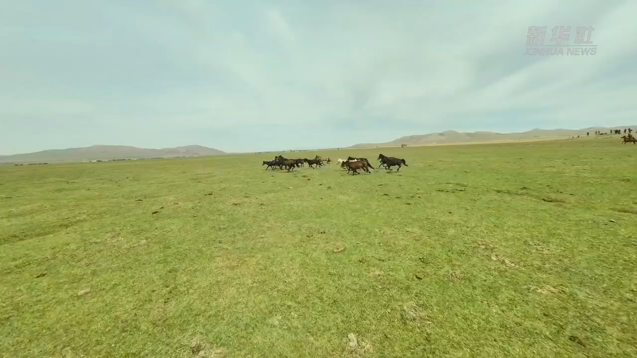  It's shocking to see ten thousand horses galloping from the perspective of traversing machine