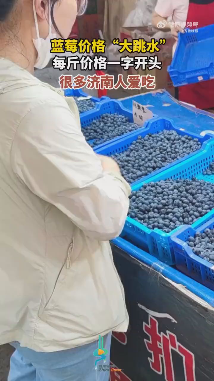 济南蓝莓价格大跳水