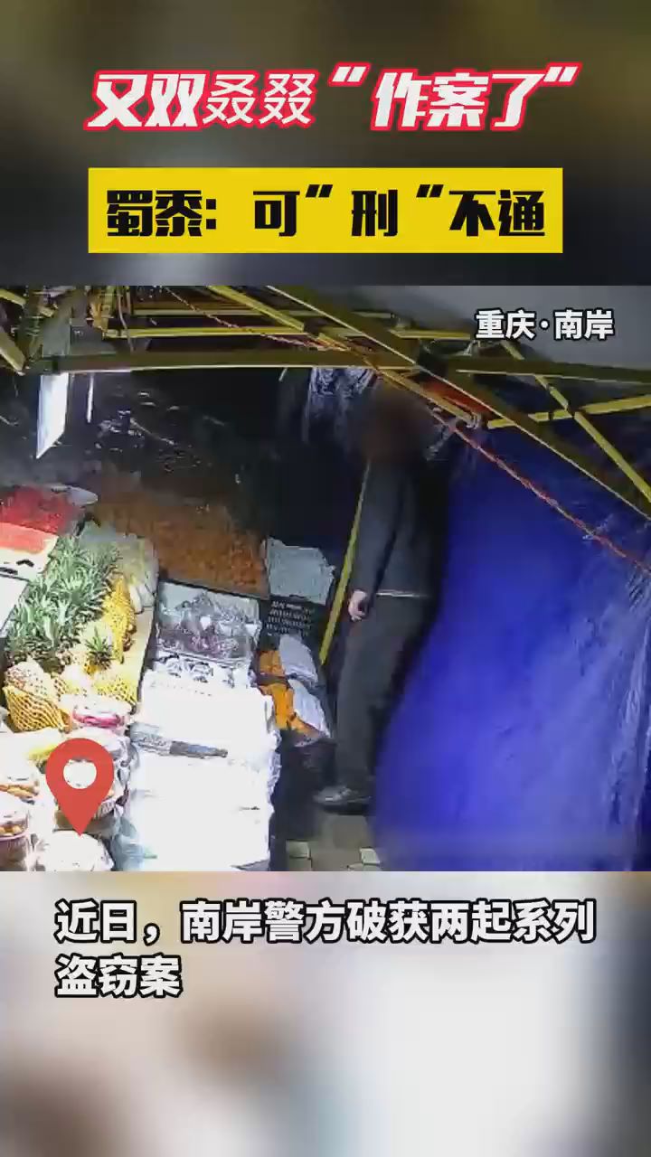 重庆南岸警方连续破获系列盗窃案