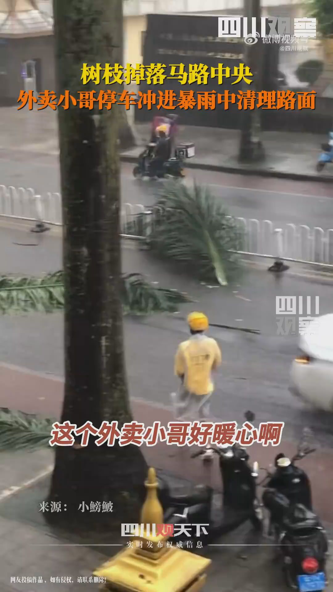 暖心！外卖小哥冲进雨中清理路? title=