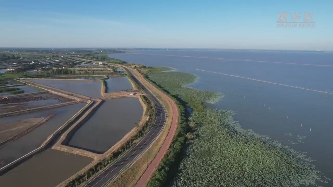 四中全会精神在基层丨湖南大通湖：小水草长成生态大产业