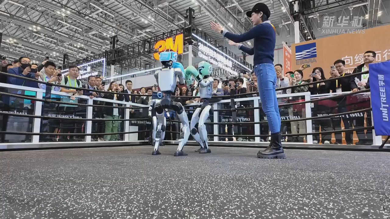 第八届进博会｜人形机器人格斗表演亮相进博会