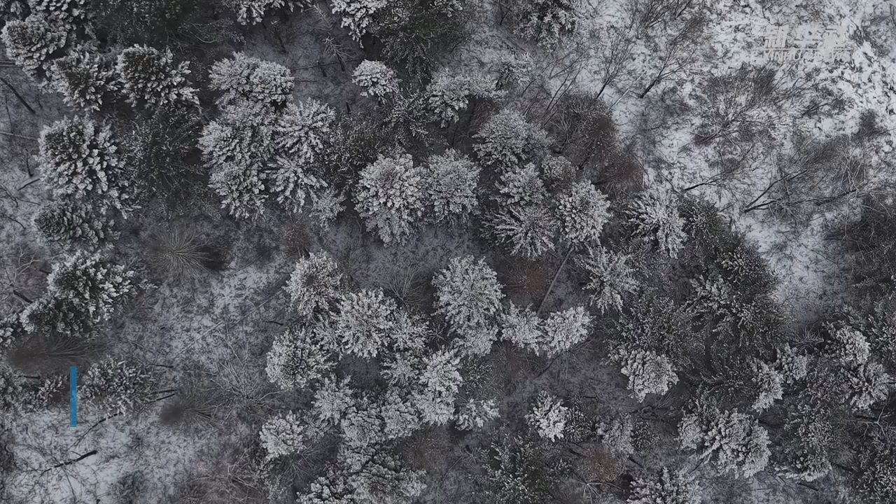 美丽中国丨自驾“醉美G331” 行进北疆冰雪秘境