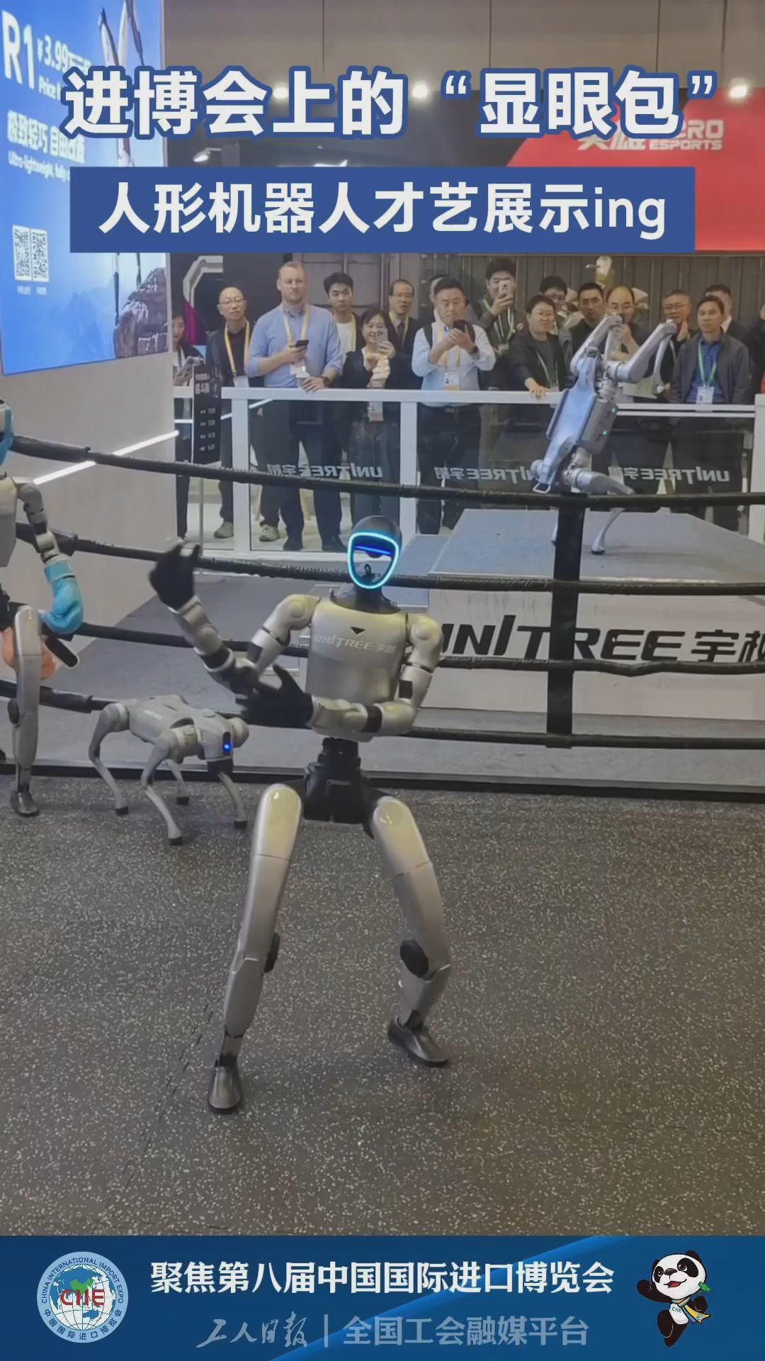舞姿妖娆、干活麻利……进博会上人形机器人吸睛