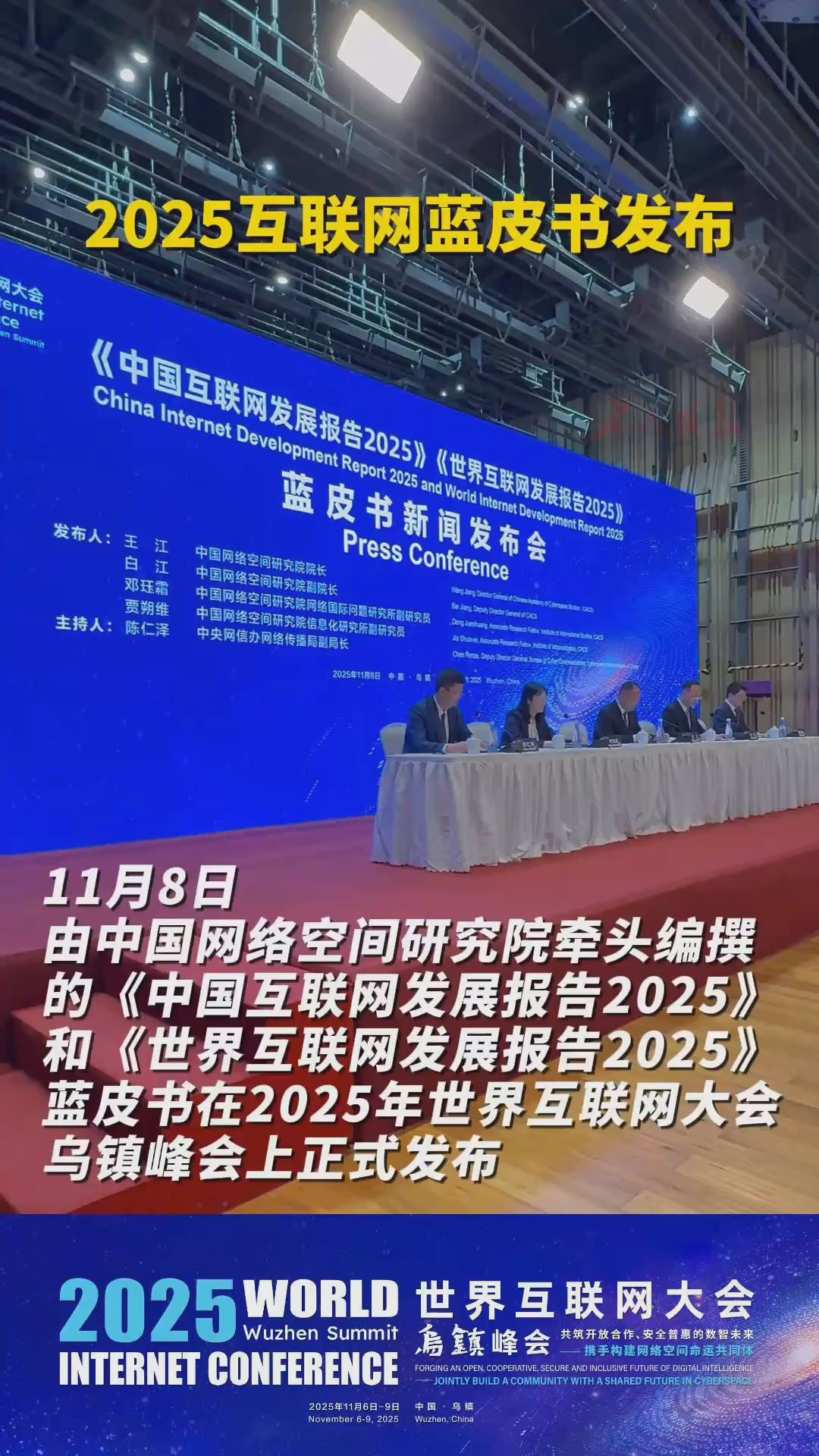 2025互联网蓝皮书发布