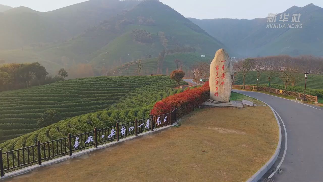 浙江湖州發(fā)布安吉白茶分時(shí)碳足跡標(biāo)簽