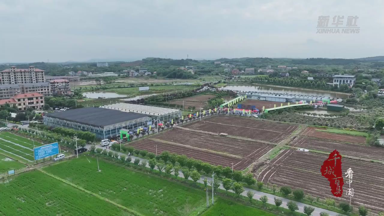 千城百縣看中國丨湖南衡陽：稻蛙鳴夏迎客來