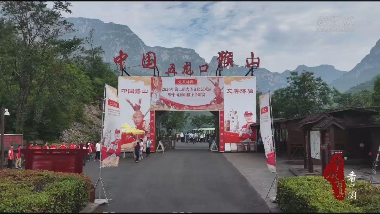 千城百縣看中國丨河南濟源：猴戲競演展風采