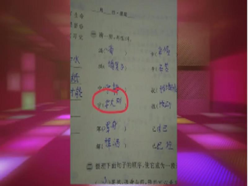 看《楚乔传》太入迷 四年级学生"宇"字组词宇文玥