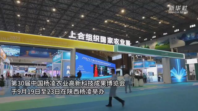 一起来看这些农业“科技范儿”