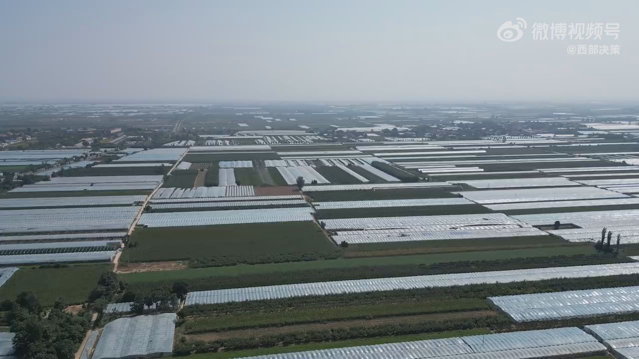 村主任3年帮村民卖800万斤红薯