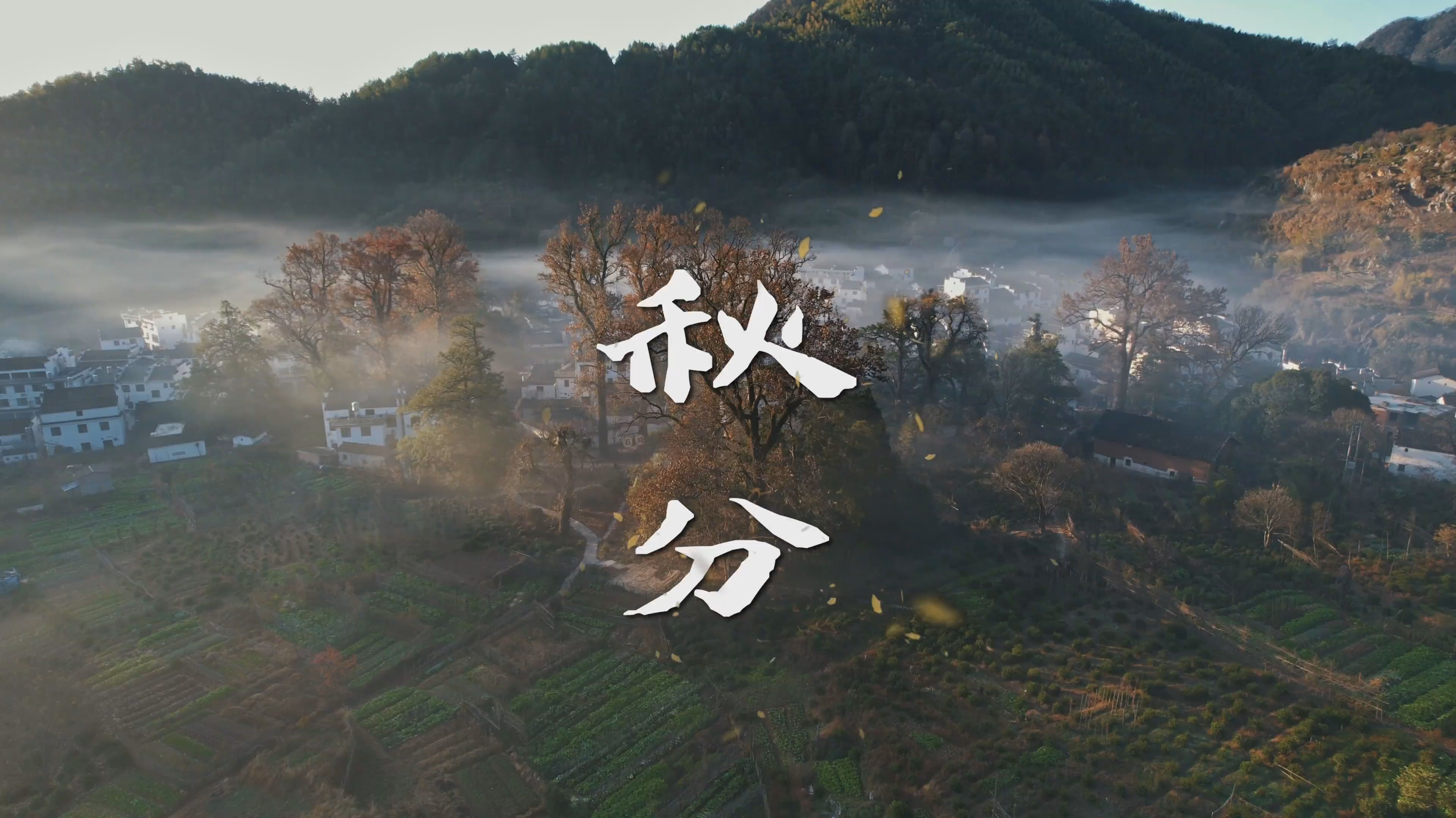 美如画！4K视频赏遍中国最美的秋天