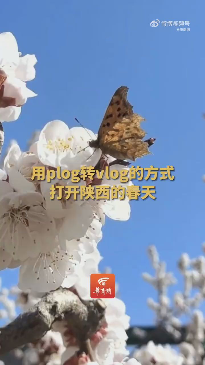 用plog转vlog的方式打开陕西的春天