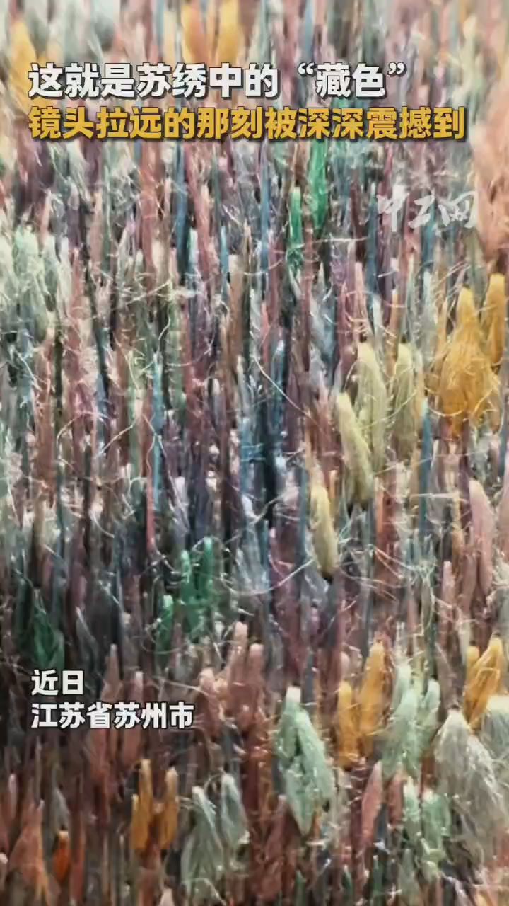 这就是苏绣中的“藏色”，镜头拉远的那刻被深深震撼到。