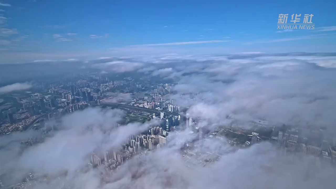 微视频｜经济大省挑大梁