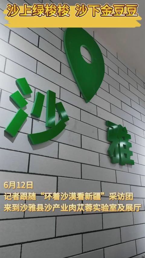 环着沙漠看新疆丨沙上绿梭梭 沙下金豆豆