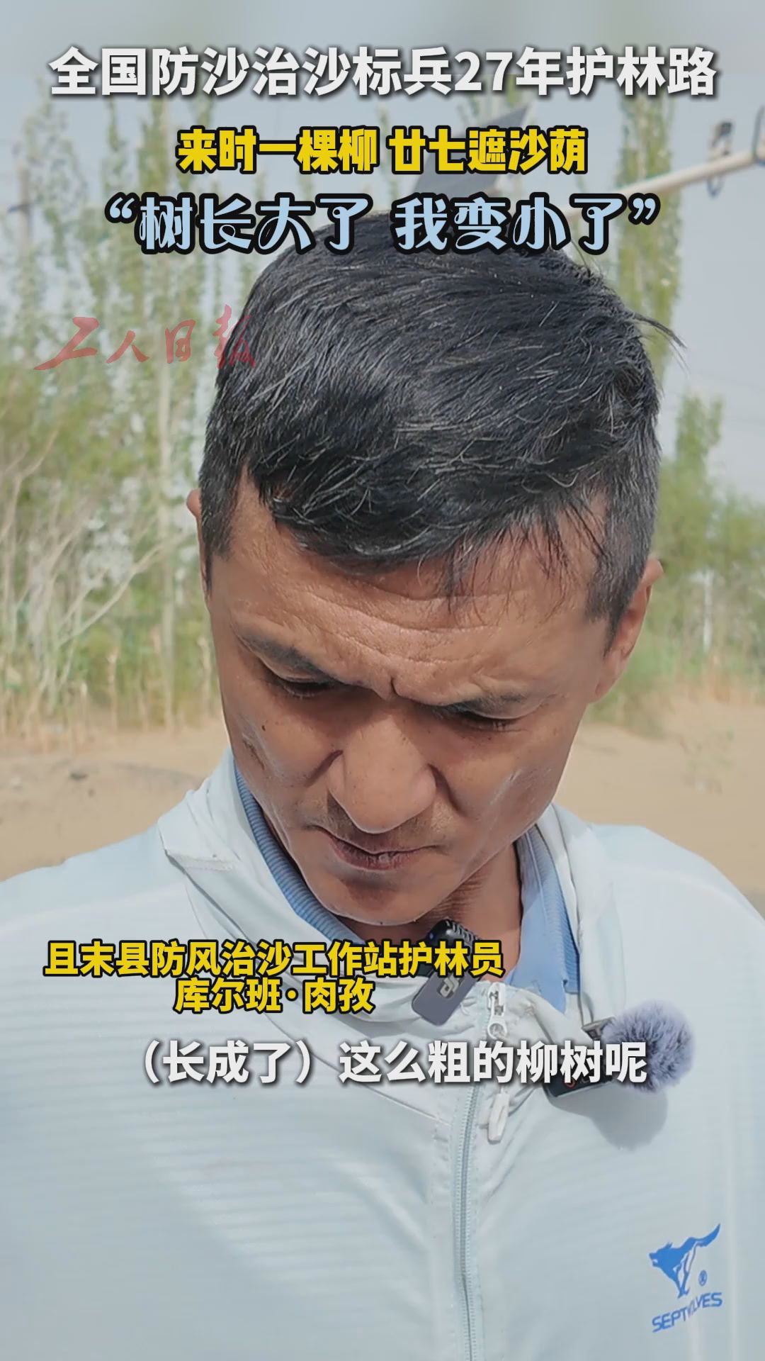 环着沙漠看新疆｜树长大了，我变小了