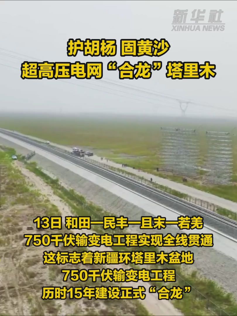 护胡杨 固黄沙——超高压电网“合龙”塔里木