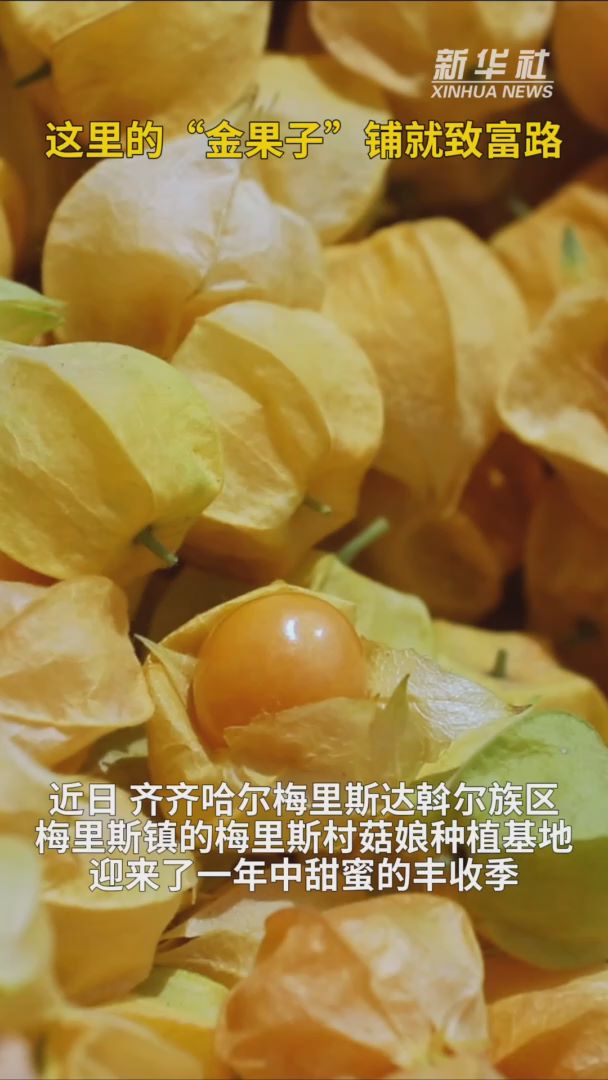 秀我中国｜这里的“金果子”铺就致富路