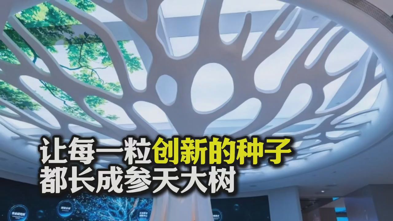 活力中国调研行丨让每一粒创新的种子都长成参天大树