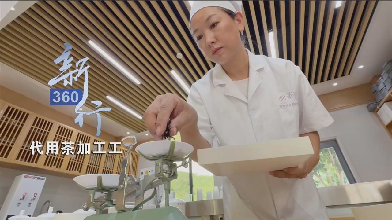 三工视频·新360行之代用茶加工工丨把花果根叶变成健康“宝藏”