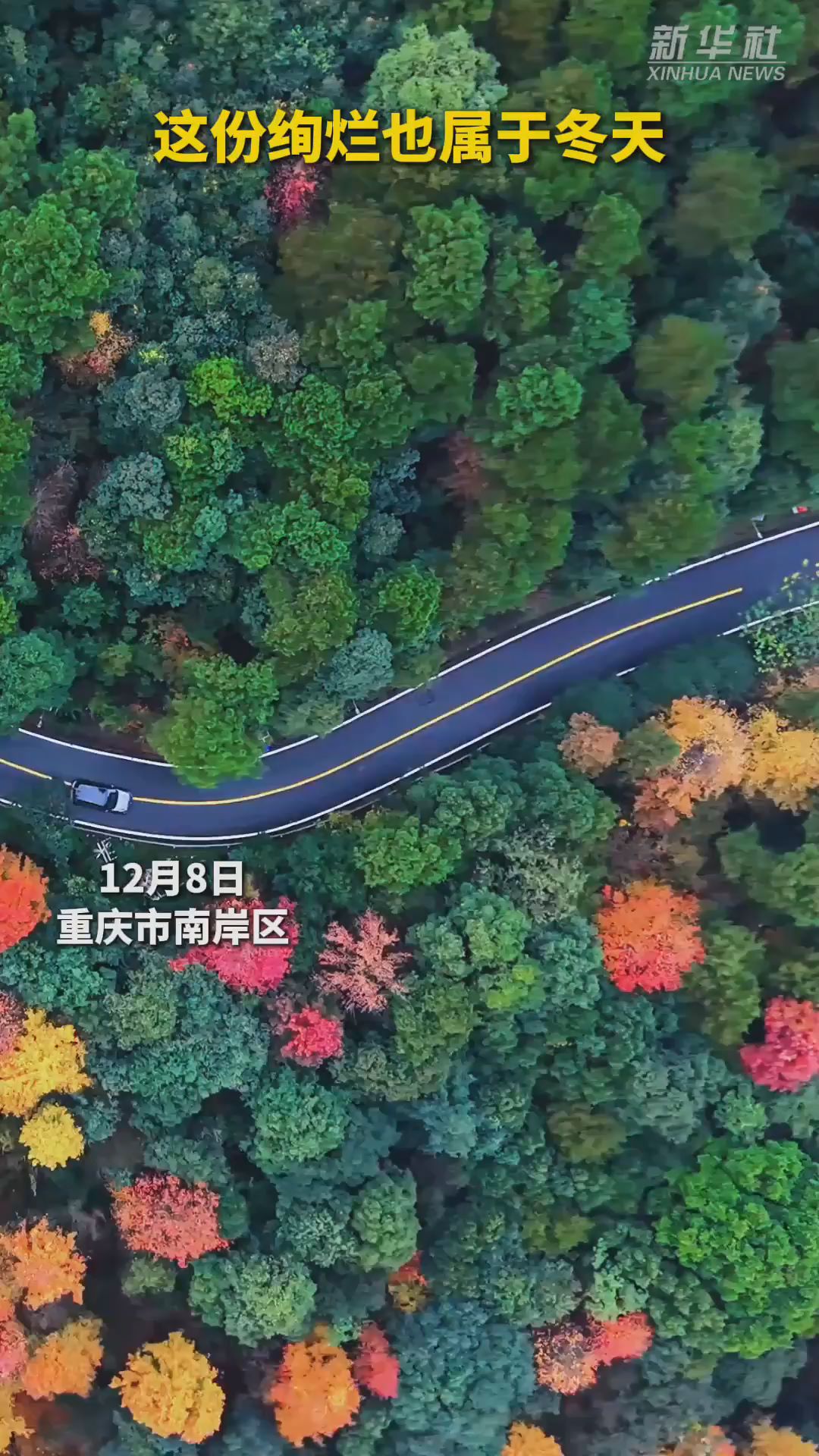 秀我中国｜这份绚烂也属于冬天