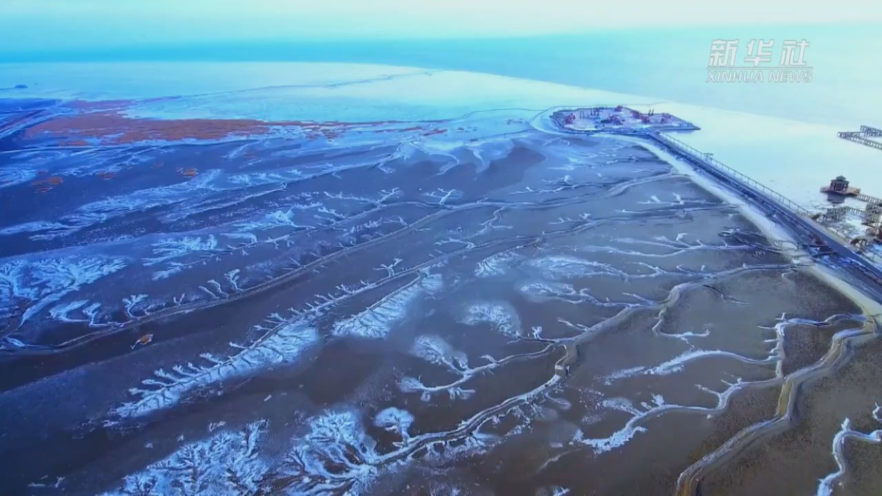 来看这片挂着冰霜的绝美“潮汐树”