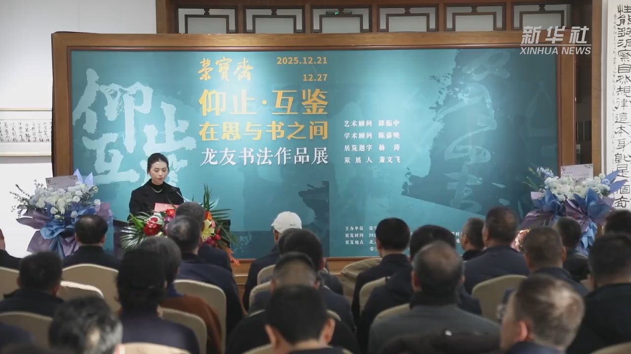 “龙友：仰止·互鉴——在思与书之间”书法展在京启幕