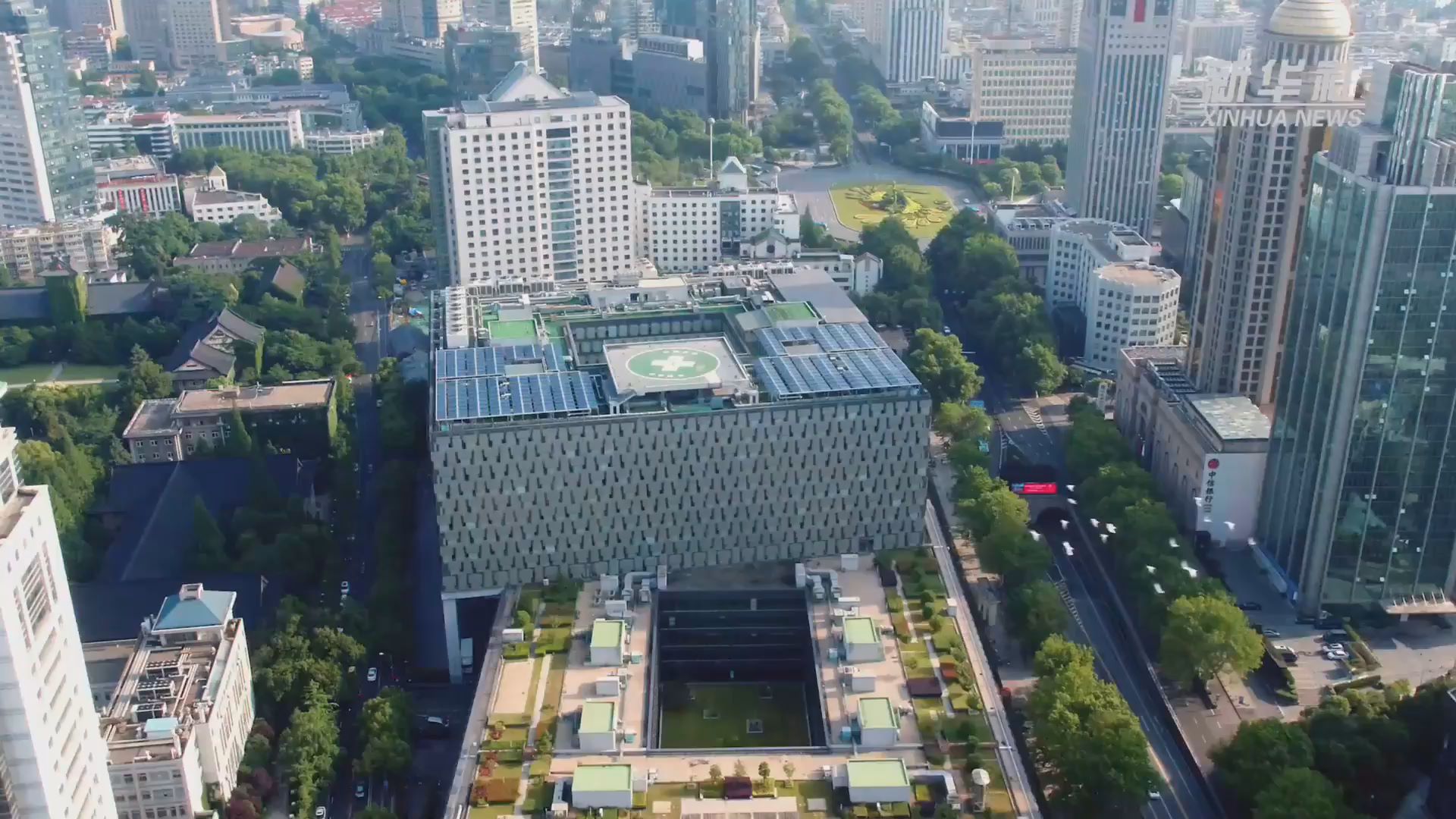 中国团队在治疗糖尿病研究领域取得重大进展