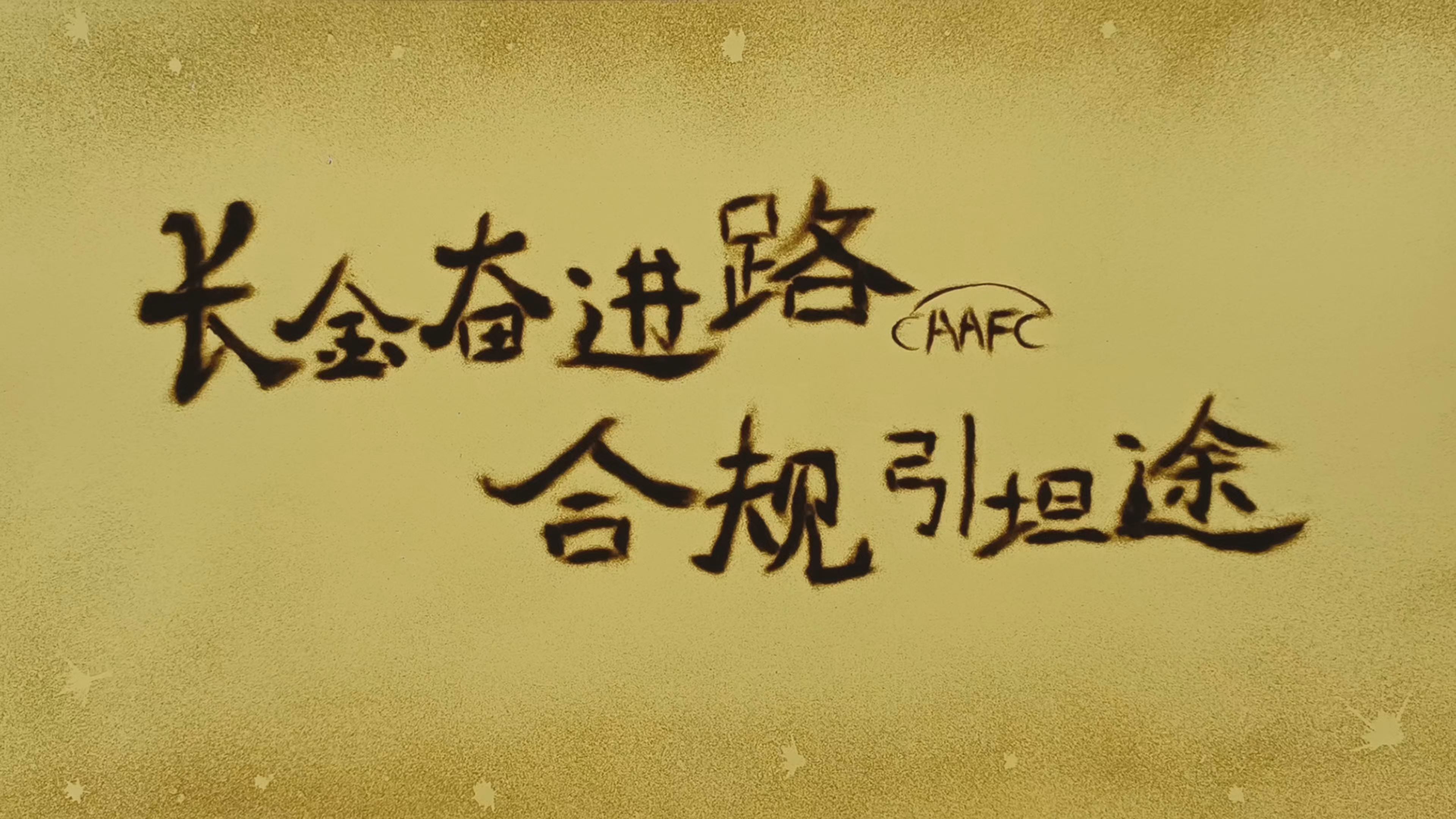 长金奋进路，合规引坦途