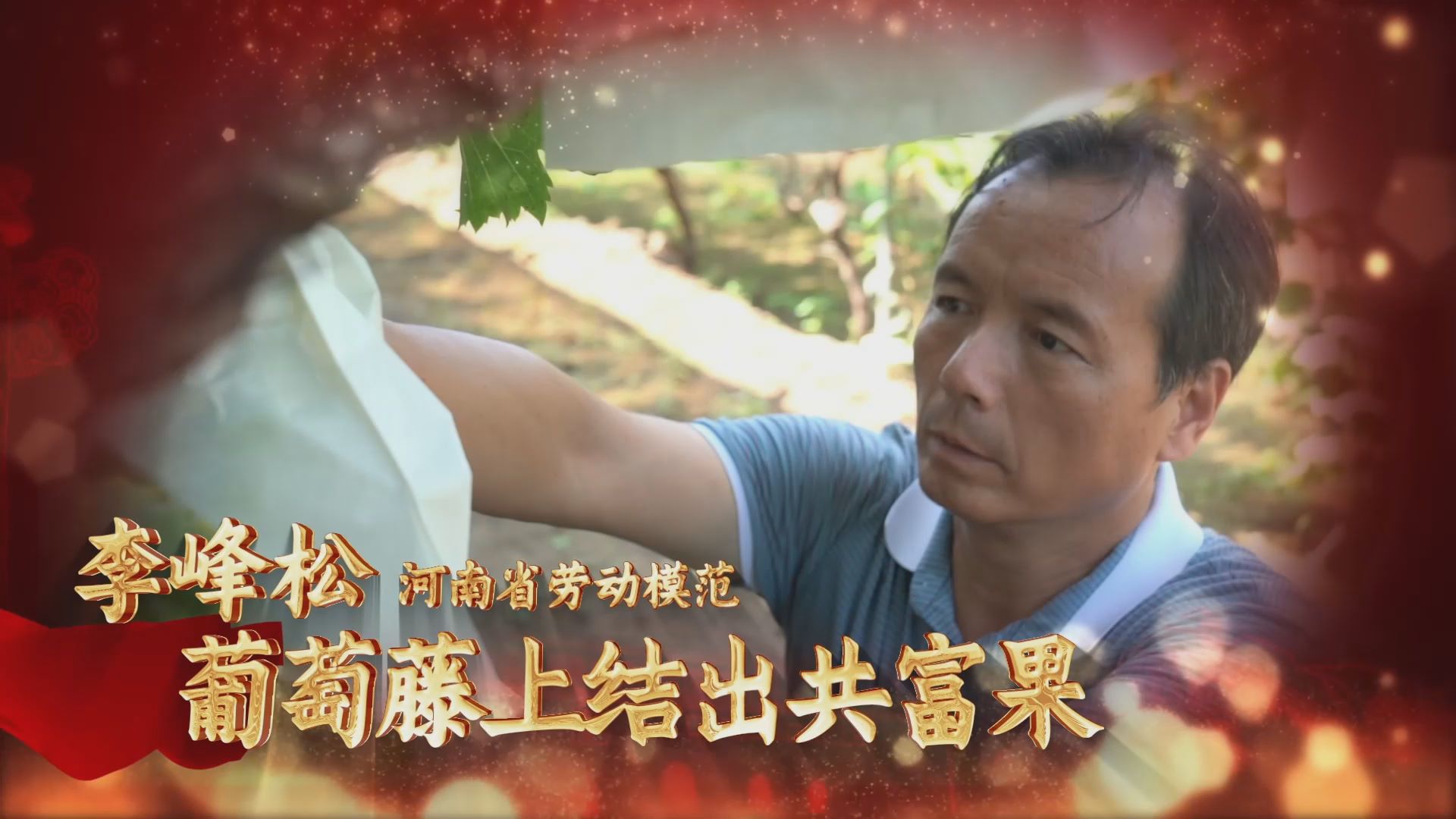 劳模故事·河南省劳动模范丨李峰松：葡萄藤上结出共富果