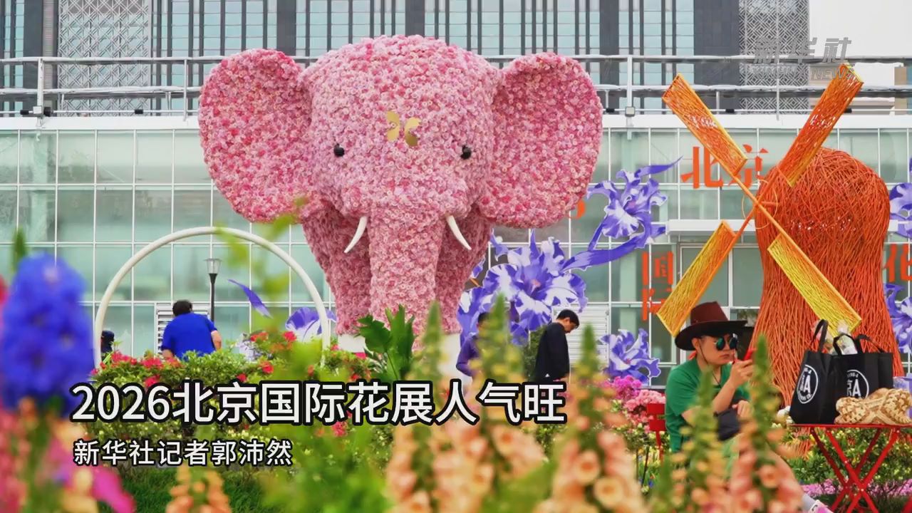 2026北京国际花展人气旺