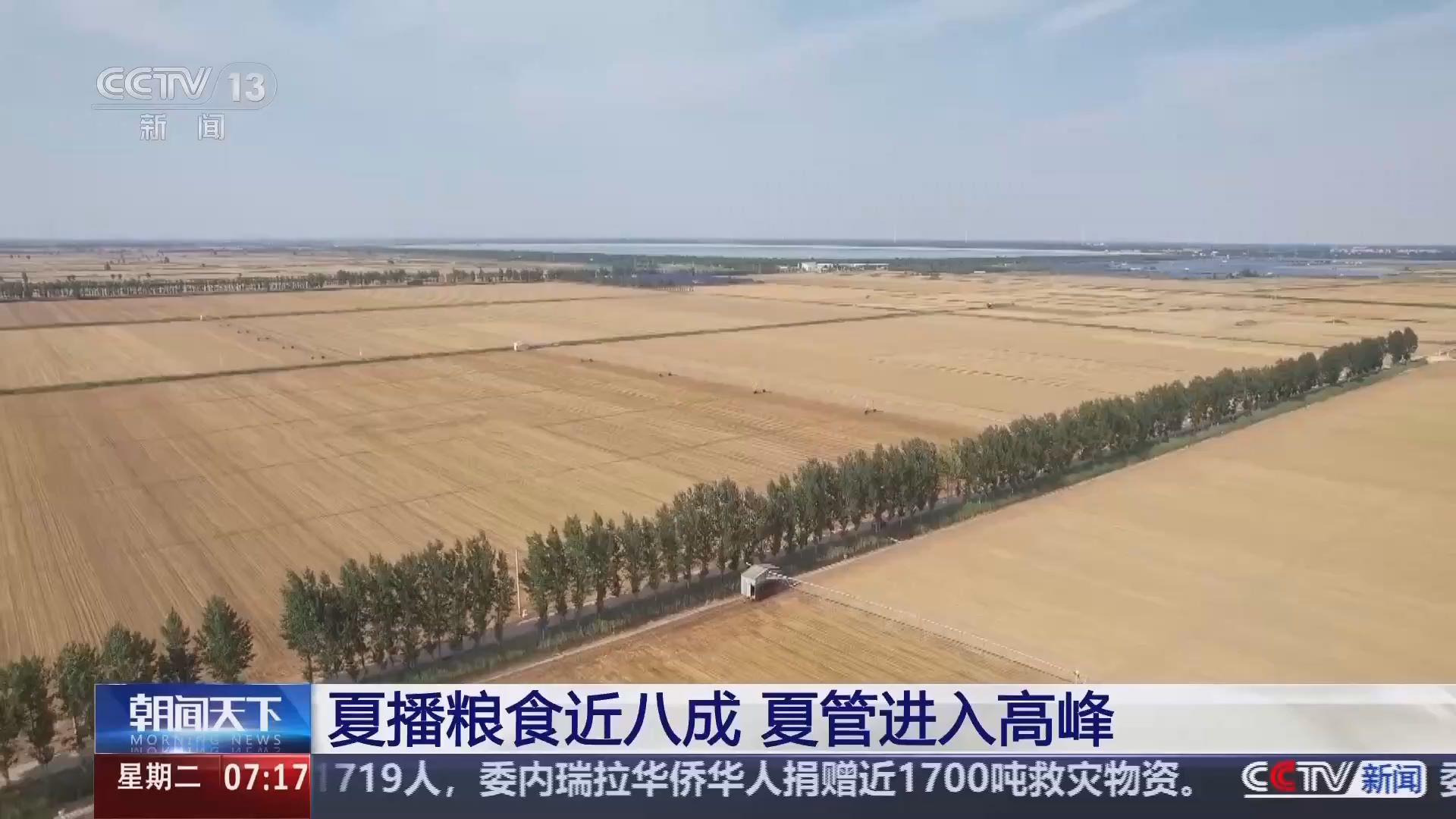视频｜全国夏播粮食近八成 夏管进入高峰